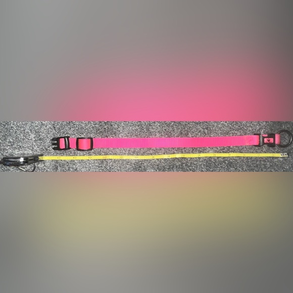 🎉HOST PICK 🎉 Hot Pink Dog Collar - Picture 5 of 7
